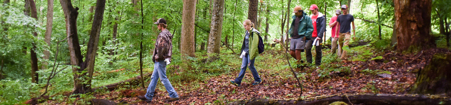 Students in the forest