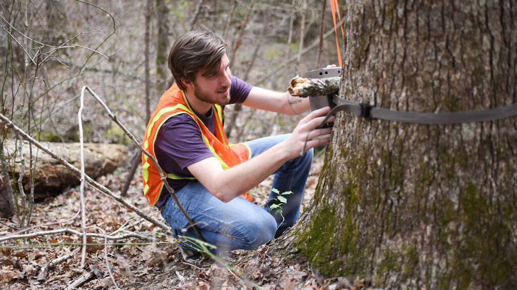 Graduate programs - Forestry and Environmental Assessment