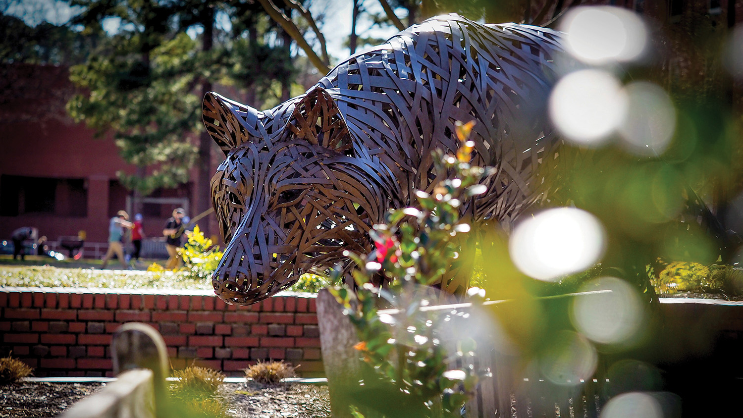 A bronze wolf statue near Stafford Commons.